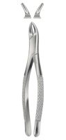 Tooth Forceps for Children, American Pattern